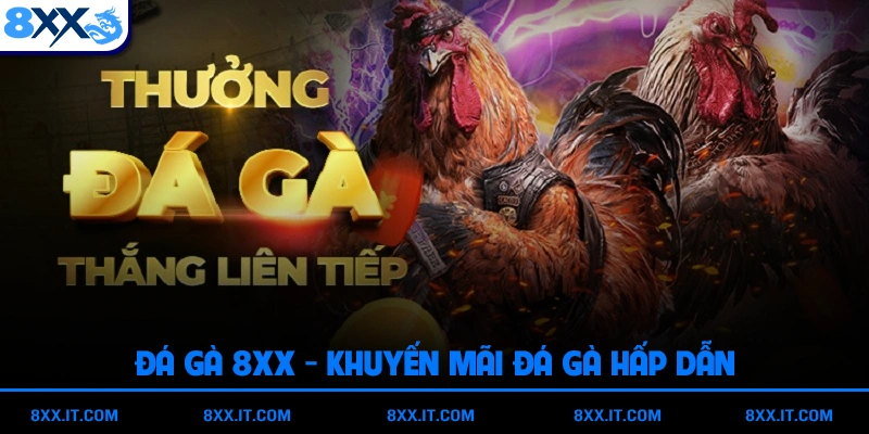 Các khuyến mãi đá gà hấp dẫn tại nền tảng